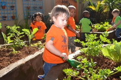 Kiddies Academy DSC_7698