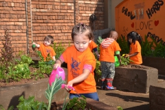 Kiddies Academy DSC_7714